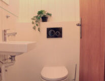 wall, bathroom, indoor, toilet, bathtub, plumbing fixture, shower, vase